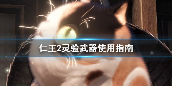 摩登7娱乐官方网站图片