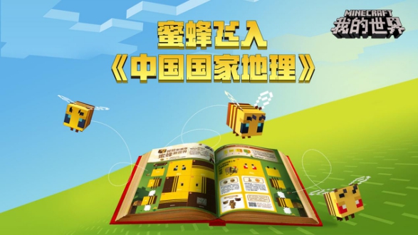 摩登7娱乐官方网站图片