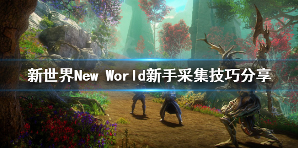 摩登7娱乐官方网站图片