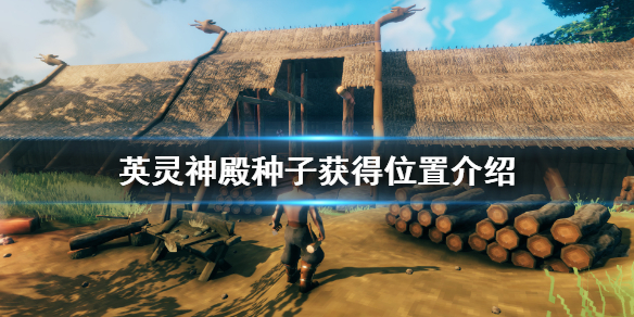 摩登7娱乐官方网站图片