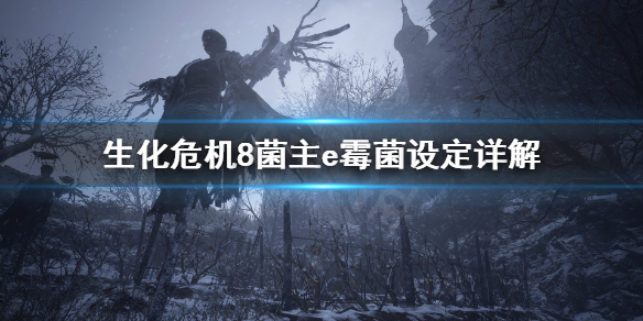 摩登7娱乐官方网站图片