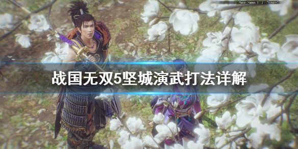 摩登7娱乐官方网站图片