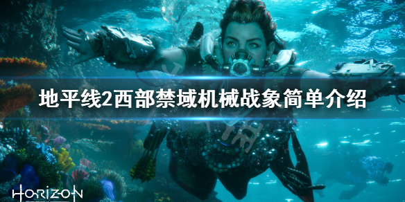 摩登7娱乐官方网站图片