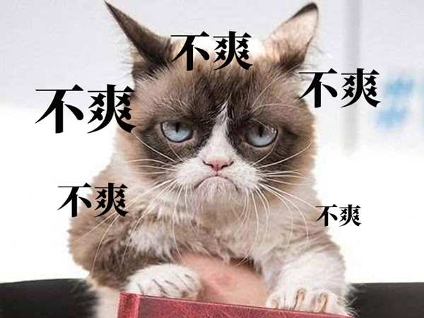 摩登7娱乐官方网站图片