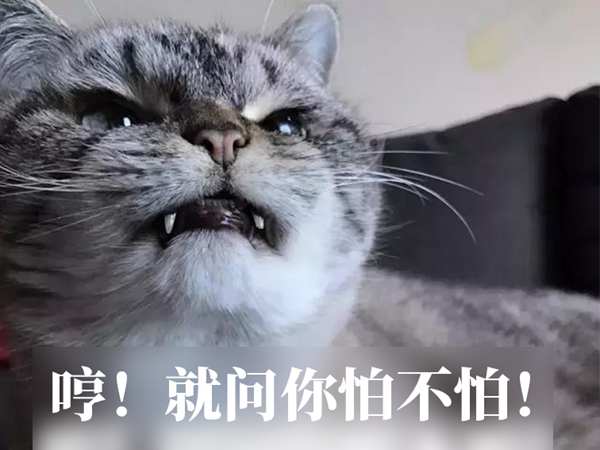 摩登7娱乐官方网站图片
