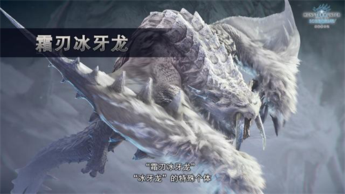 摩登7娱乐官方网站图片