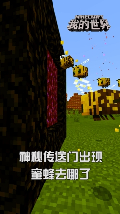 摩登7娱乐官方网站图片