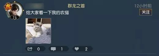 摩登7娱乐官方网站图片