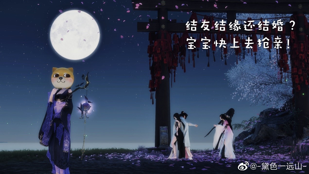 摩登7娱乐官方网站图片
