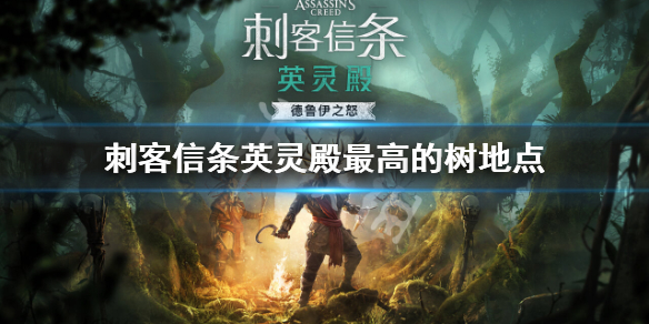 摩登7娱乐官方网站图片