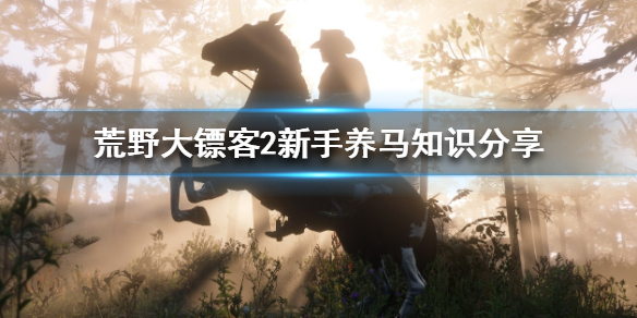 摩登7娱乐官方网站图片