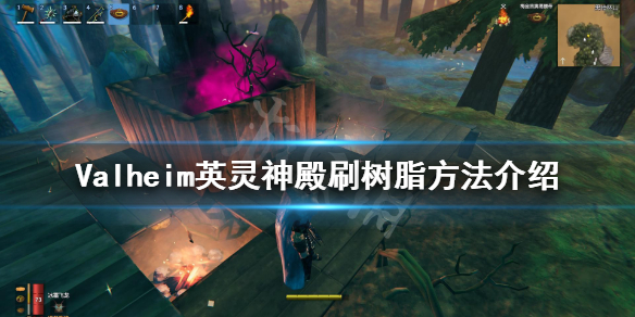 摩登7娱乐官方网站图片