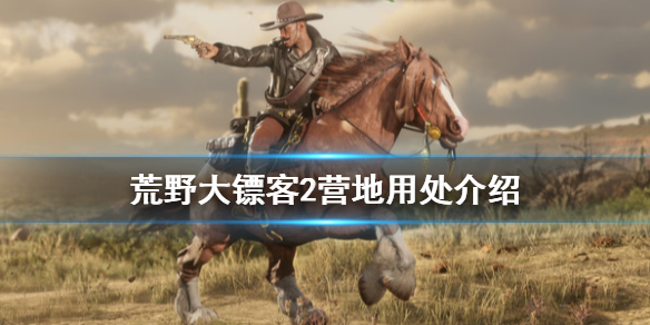 摩登7娱乐官方网站图片
