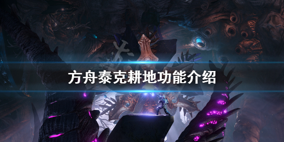 摩登7娱乐官方网站图片