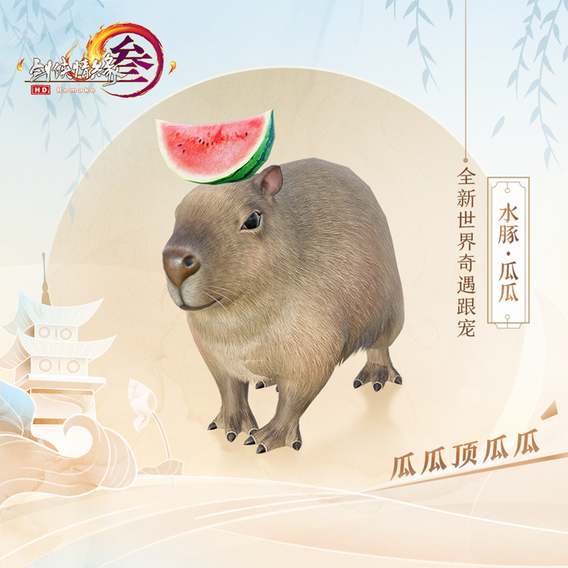 摩登7娱乐官方网站图片