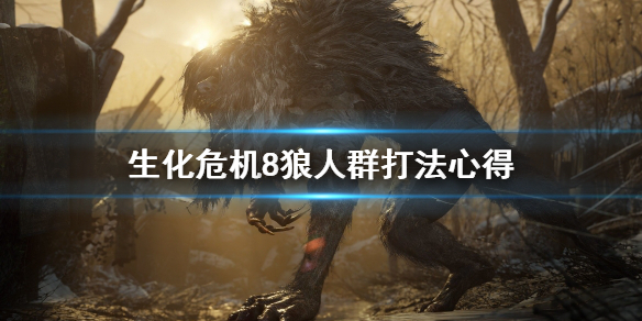 摩登7娱乐官方网站图片