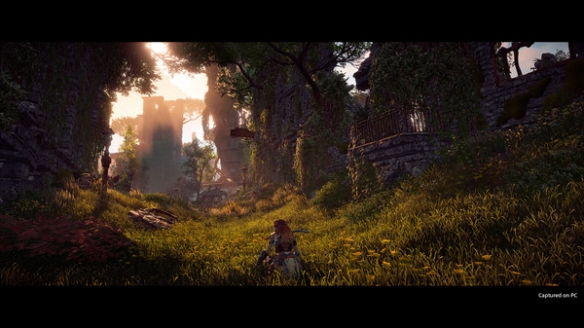 摩登7娱乐官方网站图片